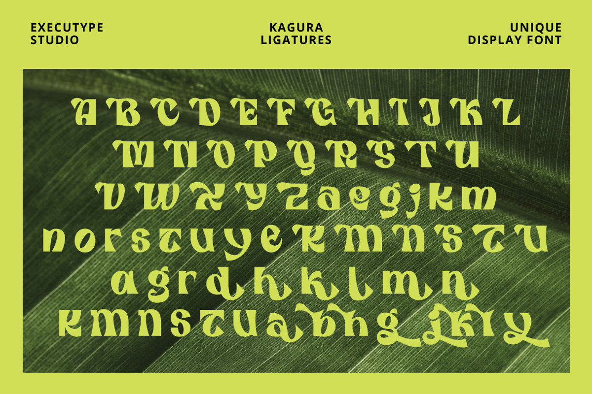 Kagura Display Font, a Sans Serif Font by executypeStudio (Photo 13 of 13)