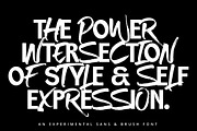 Light Brown - Experimental Display, a Sans Serif Font by tebaltipislab (Thumbnail 6 of 13)