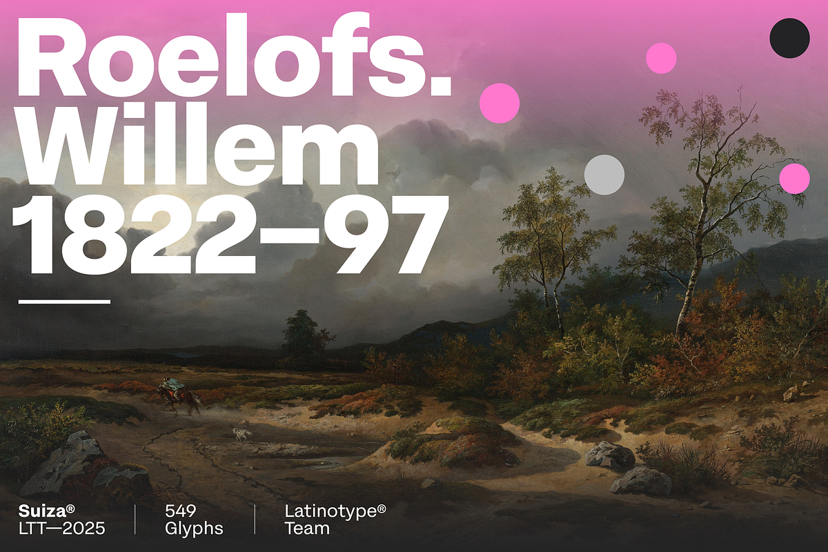 Suiza, a Sans Serif Font by Latinotype (Photo 16 of 16)