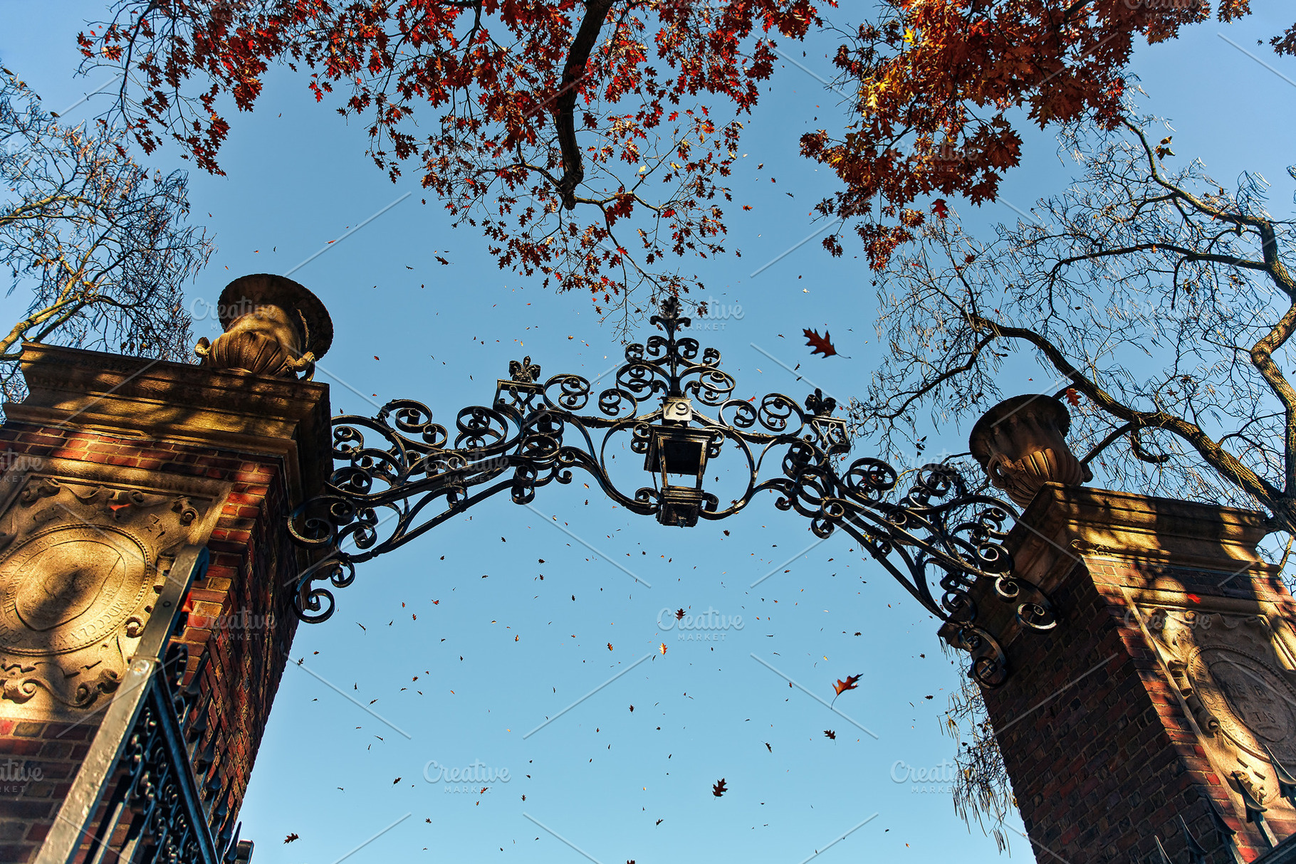 entrance to the Harvard, a School & Education Photo by EvgeniiAnd