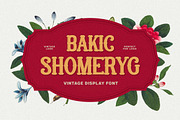 Bakic Shomeryg - Victorian Serif, a Serif Font by Imoodev (Thumbnail 1 of 5)