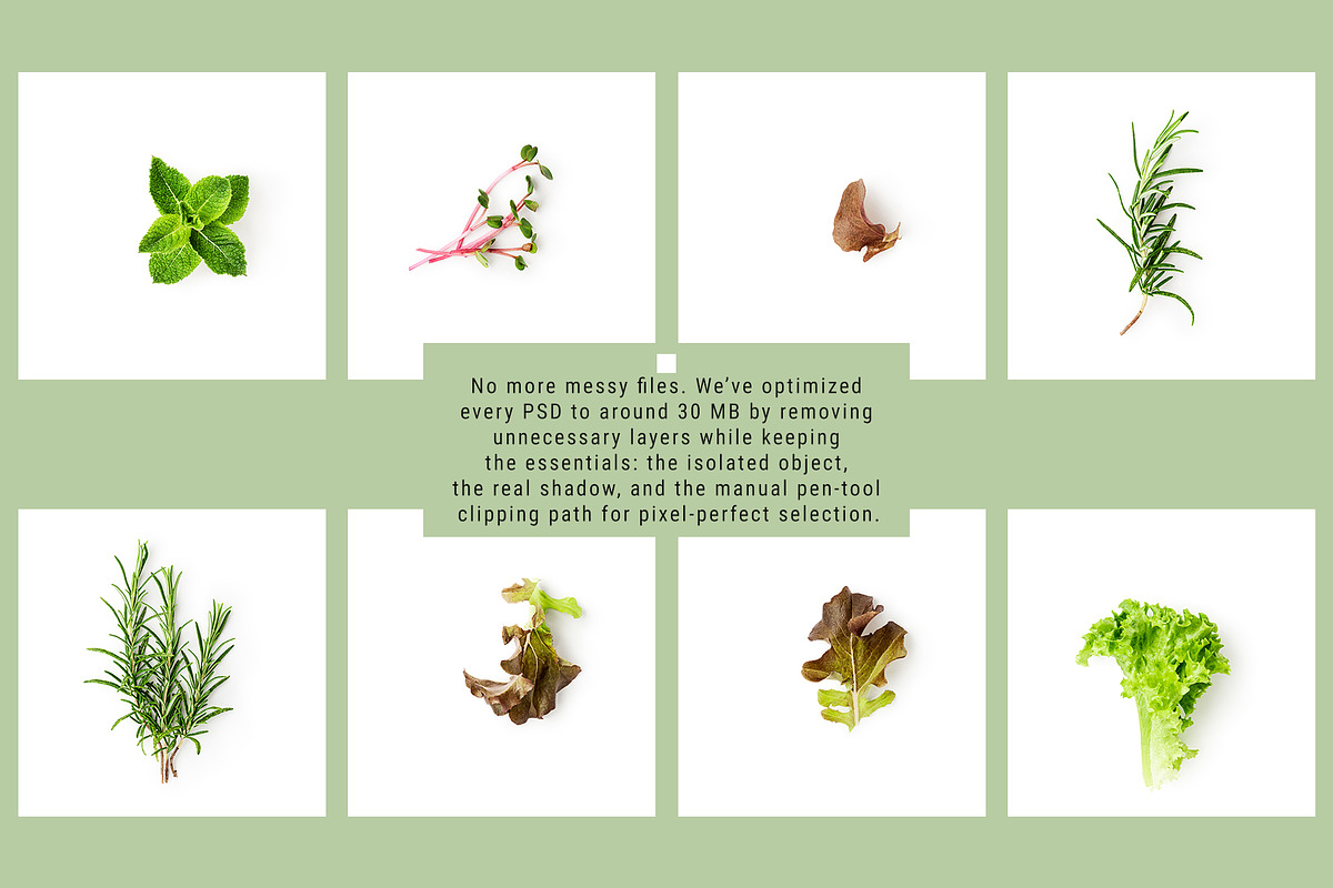Organic Kitchen. Scene Creator, an Object Graphic by ifiStudio (Photo 4 of 6)