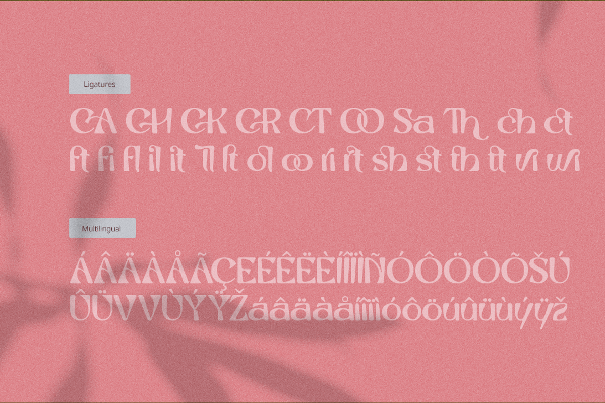 Saltstar Font, a Sans Serif Font by Grontype (Photo 9 of 12)