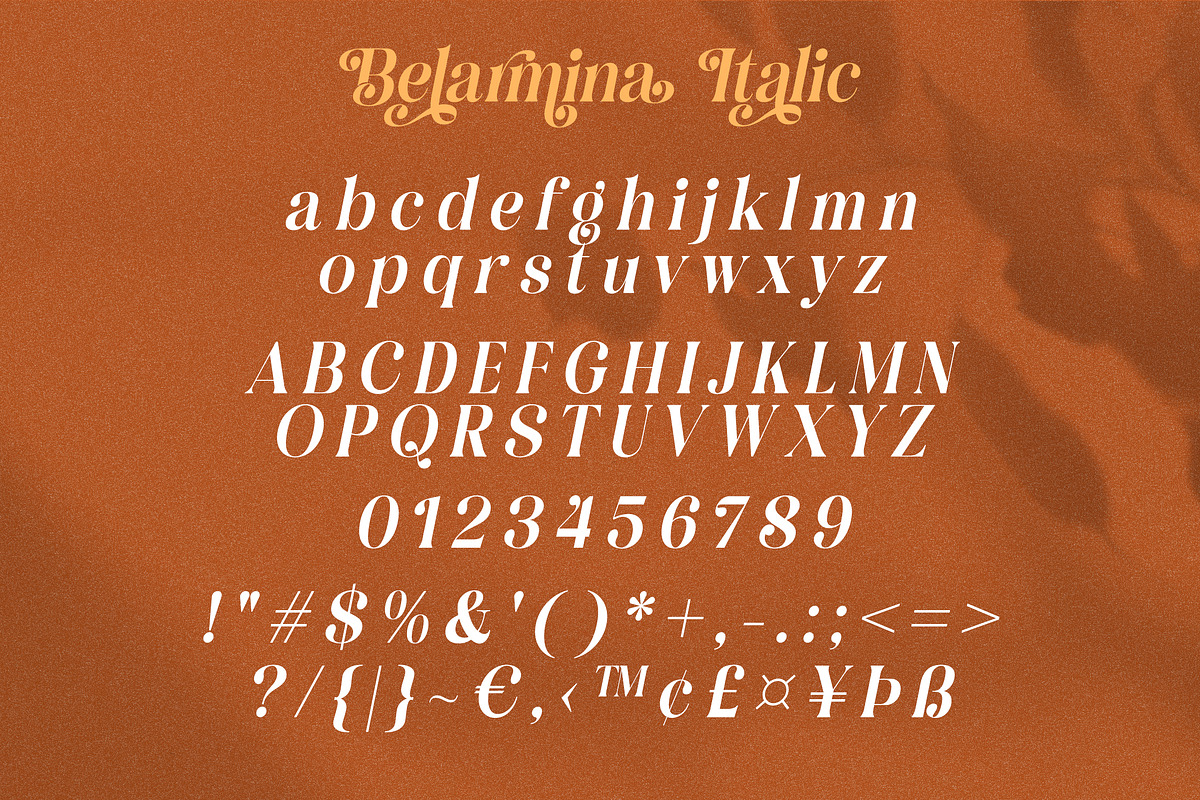 Belarmina - A Beauty Serif Font, a Serif Font by agnyhasyastudio (Photo 8 of 10)