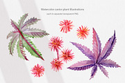 Cosmetic Ingredients Watercolor set, a Healthcare Illustration by Volha Studio (Thumbnail 9 of 19)