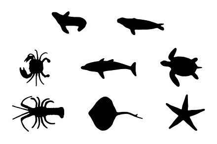 Sea animals silhouettes 1 containing animals, big, and colors