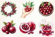 Watercolor Cranberry Clipart, an Illustration by Libby Wishes (Thumbnail 7 of 10)