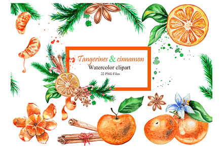 Watercolor set tangerine, cinnamon