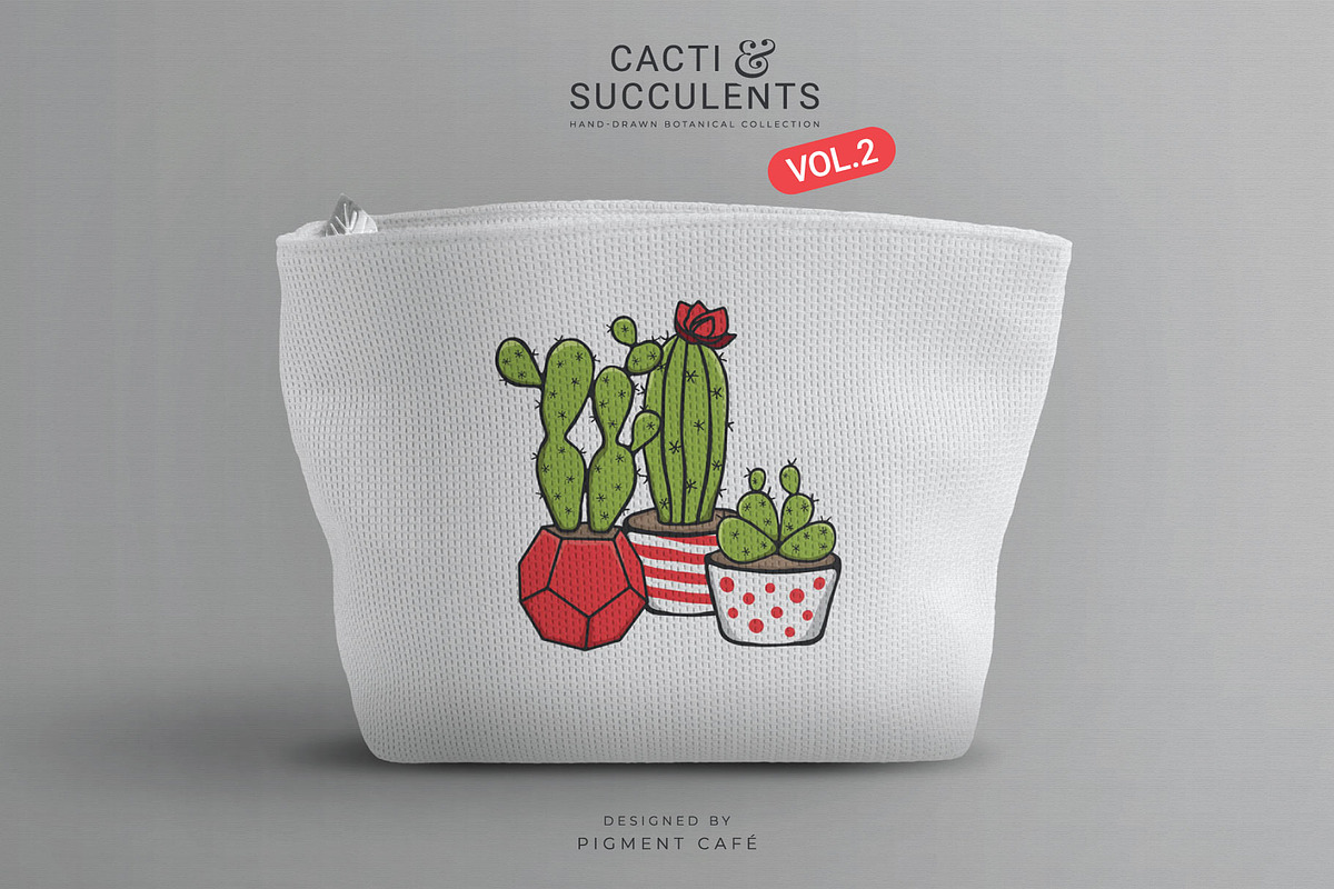 Cacti & Succulents Graphics Bundle 2, a Decorative Illustration by Pigment Café (Photo 6 of 8)