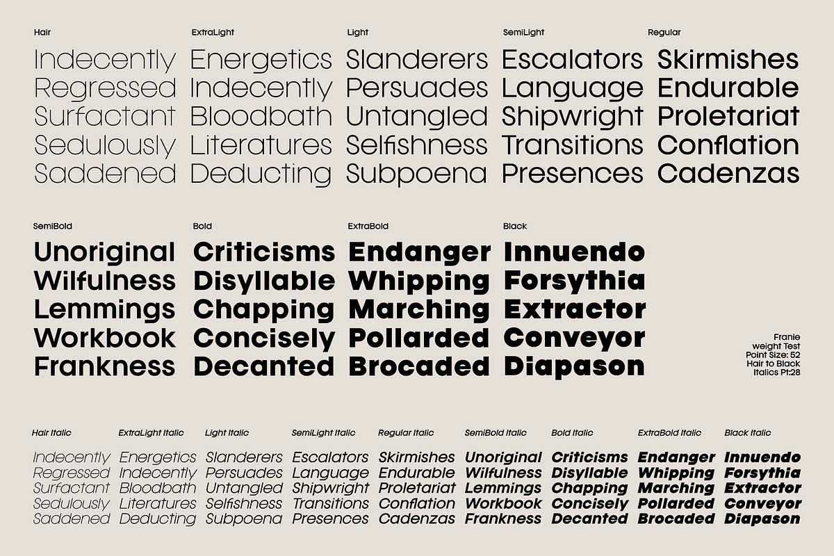 Franie Geometric Sans Family, a Font by That That Creative (Photo 11 of 16)