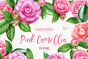 Camellia. Watercolor clipart PNG., an Illustration by Mary (Thumbnail 1 of 3)