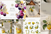 BUNDLE Watercolor Fruit and Flora, a Decorative Illustration by ThaismotaCreativeCo (Thumbnail 9 of 14)