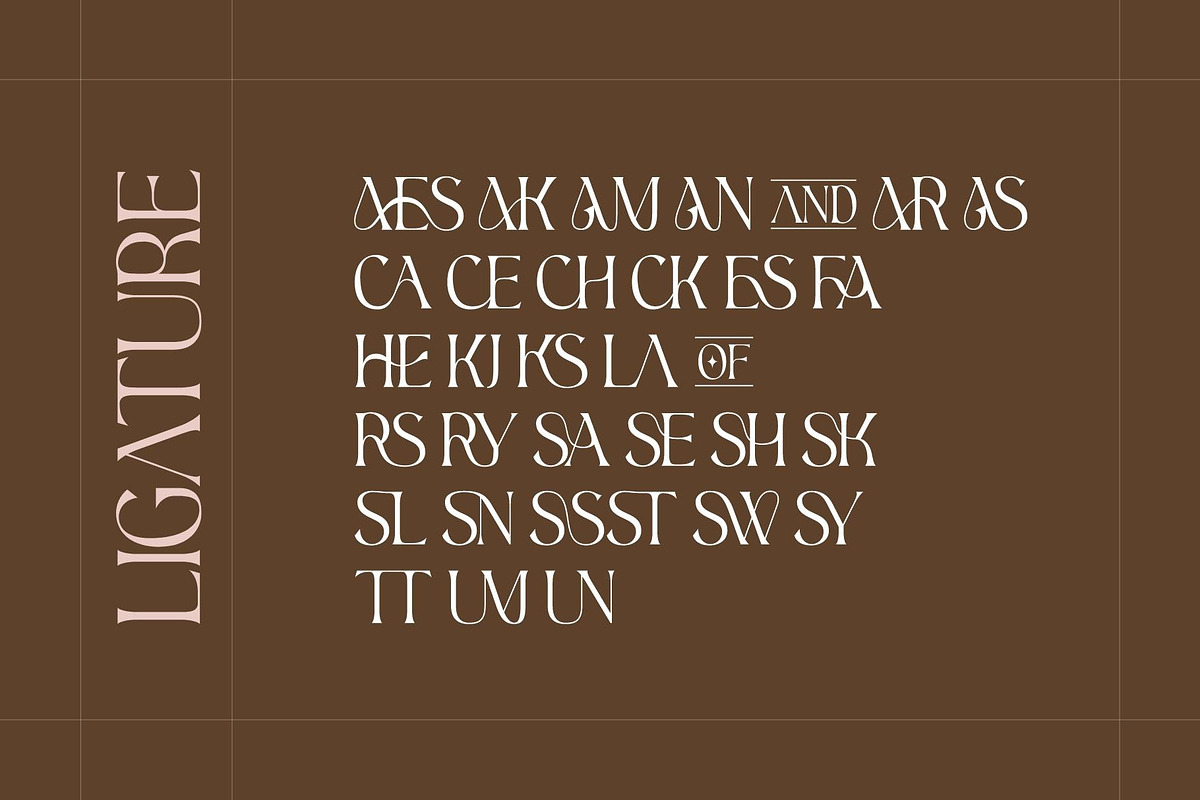 Aesthetic - Modern Display Serif, a Serif Font by Nirmana Visual (Photo 5 of 7)