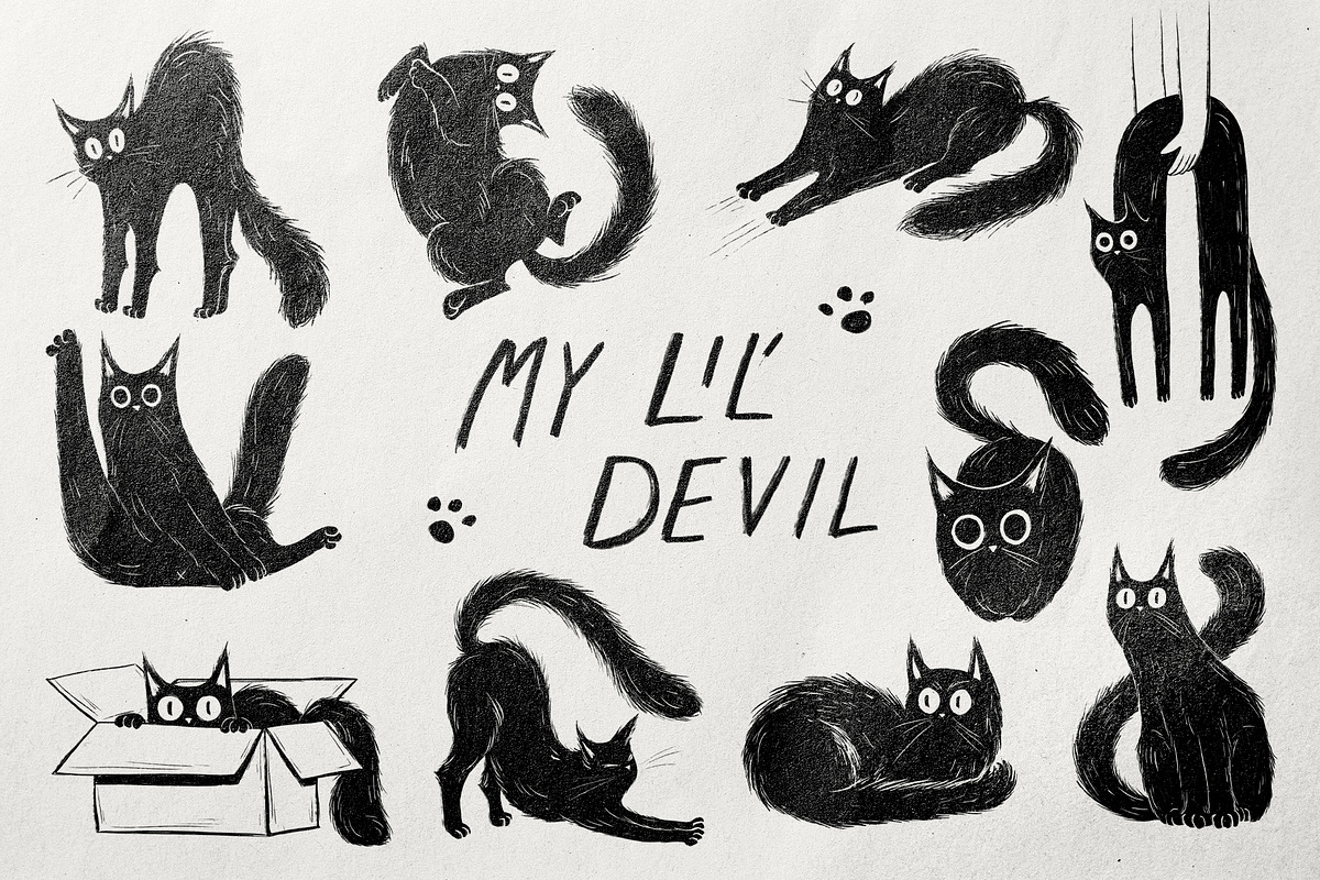 Hand-Drawn Black Cat Illustrations, an Animal Illustration by Garden in frame (Photo 1 of 4)