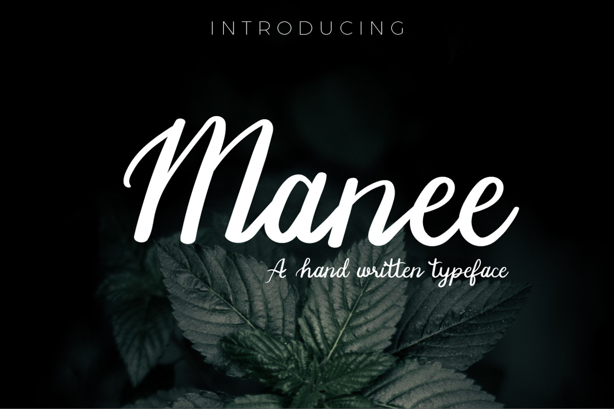 Manee Handwritten Typeface