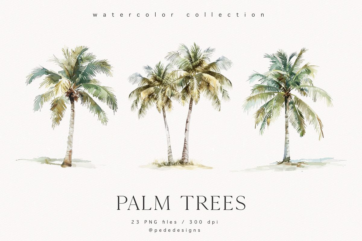 Palm Trees, a Decorative Illustration by PeDe Designs (Photo 2 of 9)