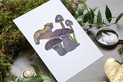 Watercolor and Gouache Mushrooms, an Illustration by MariaOrtegaDigitals (Thumbnail 6 of 6)