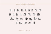 Arroem - Serif Display Font, a Serif Font by Vesvocrea (Thumbnail 15 of 15)