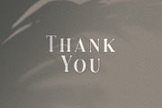 Serizawa - Classic Serif Font, a Serif Font by StringLabs (Thumbnail 12 of 12)