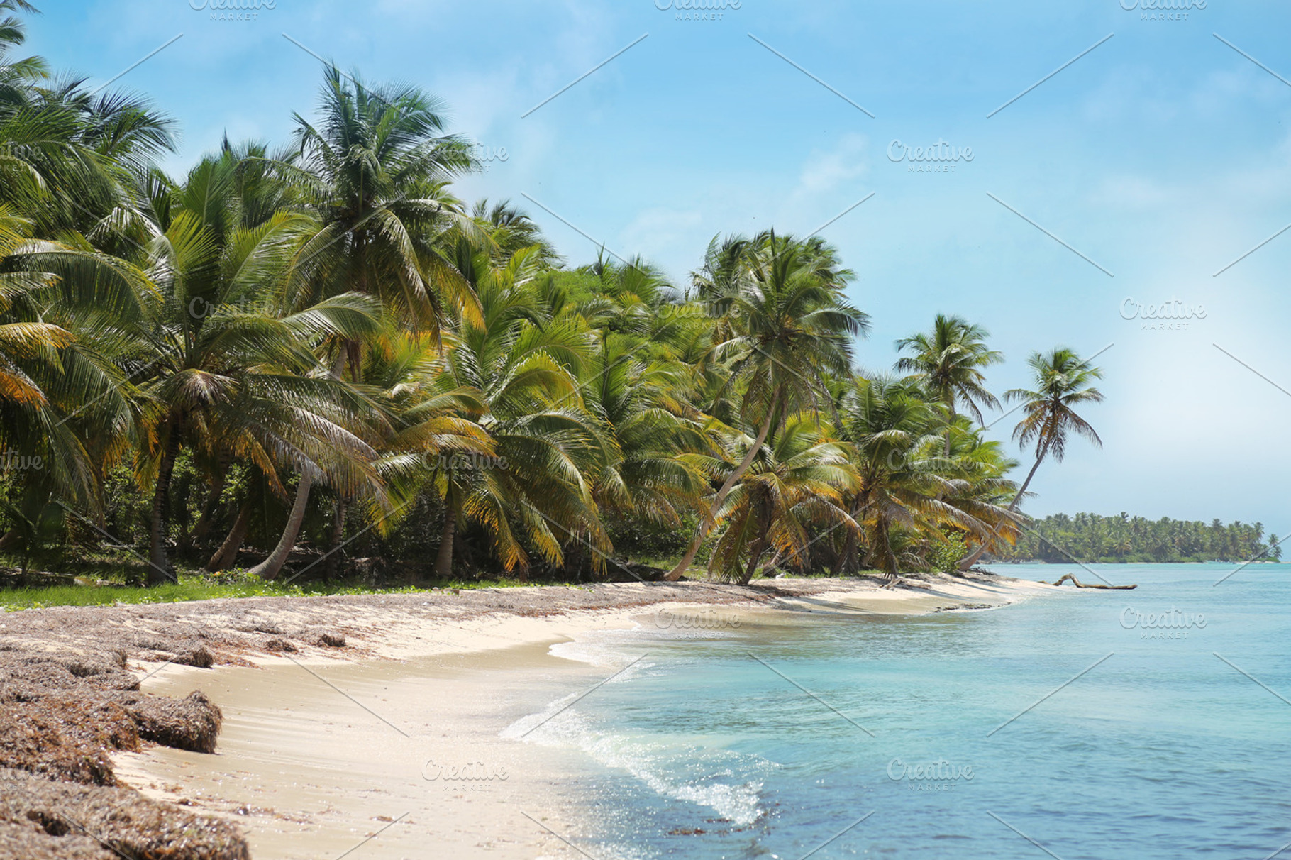 Caribbean white sand beach stock photo containing caribbean and dominican, a Nature Photo by Olga Stanis