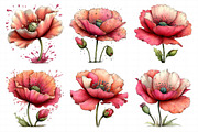 Whimsical Spring Poppy Flowers Clipa, an Illustration by Daily.Designs (Thumbnail 5 of 8)