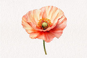 Watercolor Vivid Floral Collection, an Illustration by CreationArt (Thumbnail 9 of 10)