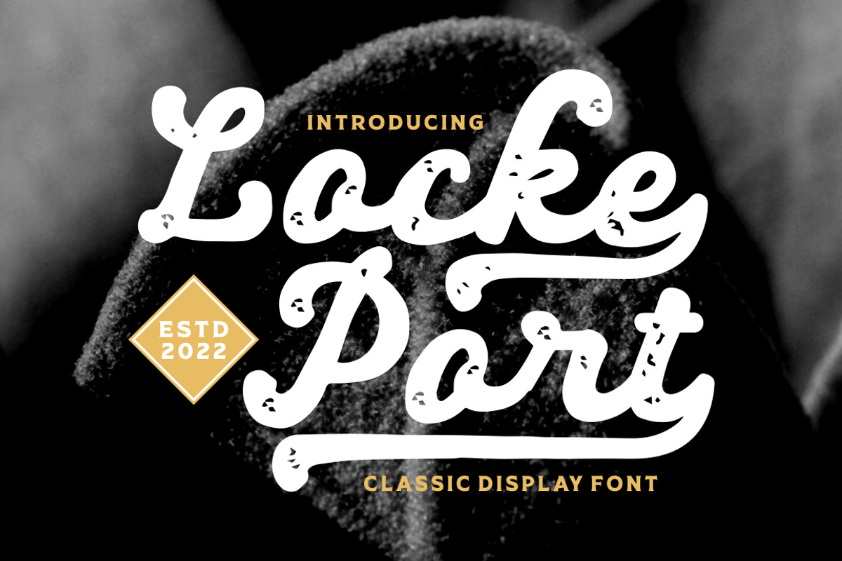 Locke Port - Modern Script Font, a Script Font by PutraCetol Studio (Photo 1 of 12)