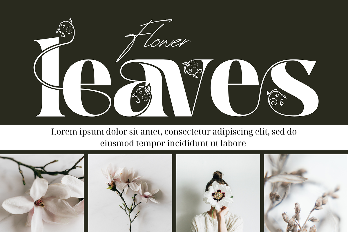 Classical Balance - Decorative Font, a Serif Font by 177Studio (Photo 2 of 8)