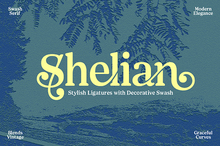 Shelian Typeface, a Serif Font by Seniors