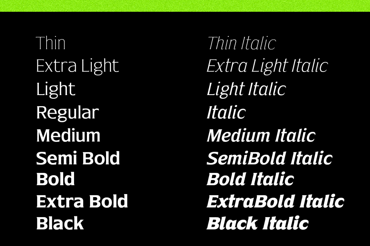 Nunda Dela, a Serif Font by Differentialtype (Photo 9 of 11)