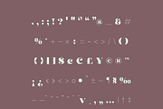 Leguar – A Modern Serif, a Serif Font by Creative Foundry (Thumbnail 8 of 8)