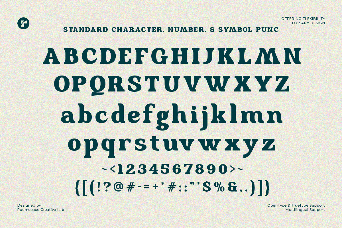 Locked Away -Swash Retro Vintage, a Serif Font by roomspace creative lab (Photo 12 of 13)