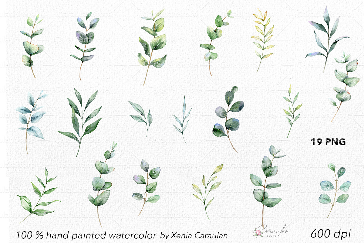 Eucalyptus Watercolor, an Object Illustration by CaraulanStore (Photo 11 of 19)