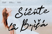 CS Bakesi - Signature Script Font, a Script Font by Craft Supply Co. (Thumbnail 7 of 8)