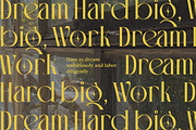 Vingico – Elegant Serif Display Font, a Serif Font by Nollev (Thumbnail 10 of 15)