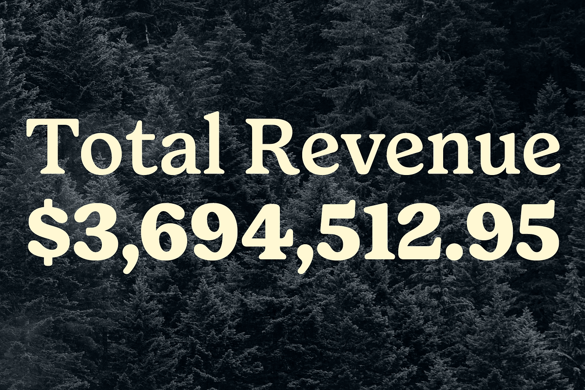 Forrest Friendly Serif Family, a Serif Font by Fenotype (Photo 10 of 12)