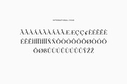Hydrogenous Elegant Serif Font, a Serif Font by UICreative (Thumbnail 9 of 13)