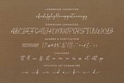 Mixed Feeling - Handwritten Script, a Script Font by Bluestype Studio (Thumbnail 9 of 9)