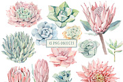 AMAZING SUCCULENTS Watercolor set, an Illustration by Lemaris (Thumbnail 2 of 9)