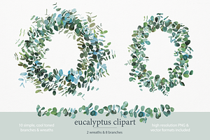 Eucalyptus wreath and branch clipart