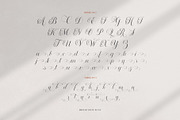 Broted Young Plant Font Duo, a Sans Serif Font by alit design (Thumbnail 7 of 20)