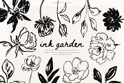 Ink Garden - 50 Brush Line Elements, a Decorative Illustration by PeDe Designs (Thumbnail 1 of 7)