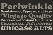 Pennyroyal Pro, a Font by Stiggy & Sands (Thumbnail 4 of 9)