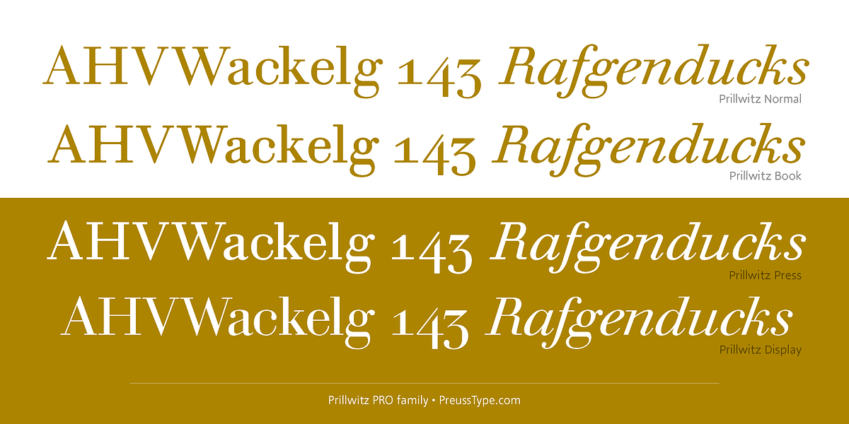 Prillwitz PRO, a Serif Font by preussTYPE (Photo 6 of 9)