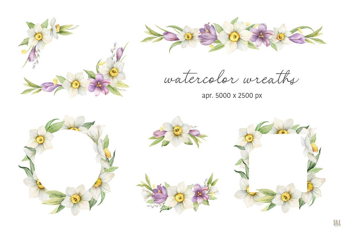 Watercolor Daffodils and Saffron, a Decorative Illustration by Elena Medvedeva (Photo 5 of 8)