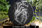 Anatomical Human Heart Flames Smoke, a Background Graphic by LaseredNinja (Thumbnail 5 of 7)