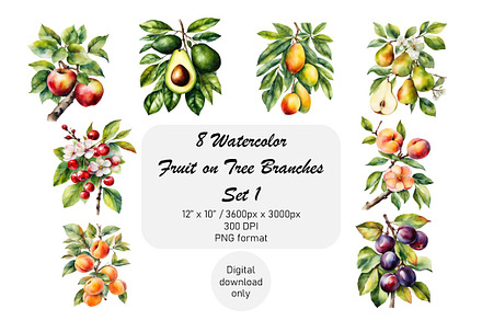 Watercolor Fruit Tree Branches Set 1