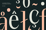CS Alessia – Elegant Font, a Serif Font by Craft Supply Co. (Thumbnail 3 of 8)