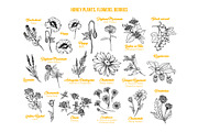 Thanksgiving Graphics Collection, an Object Graphic by ilonitta (Thumbnail 4 of 9)