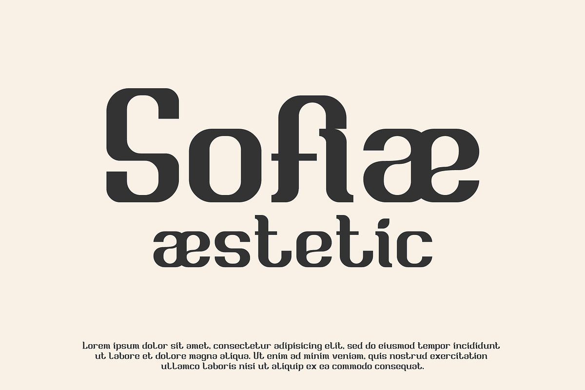 Briesa - Modern Elegant Display Font, a Font by Mily Studio (Photo 3 of 15)